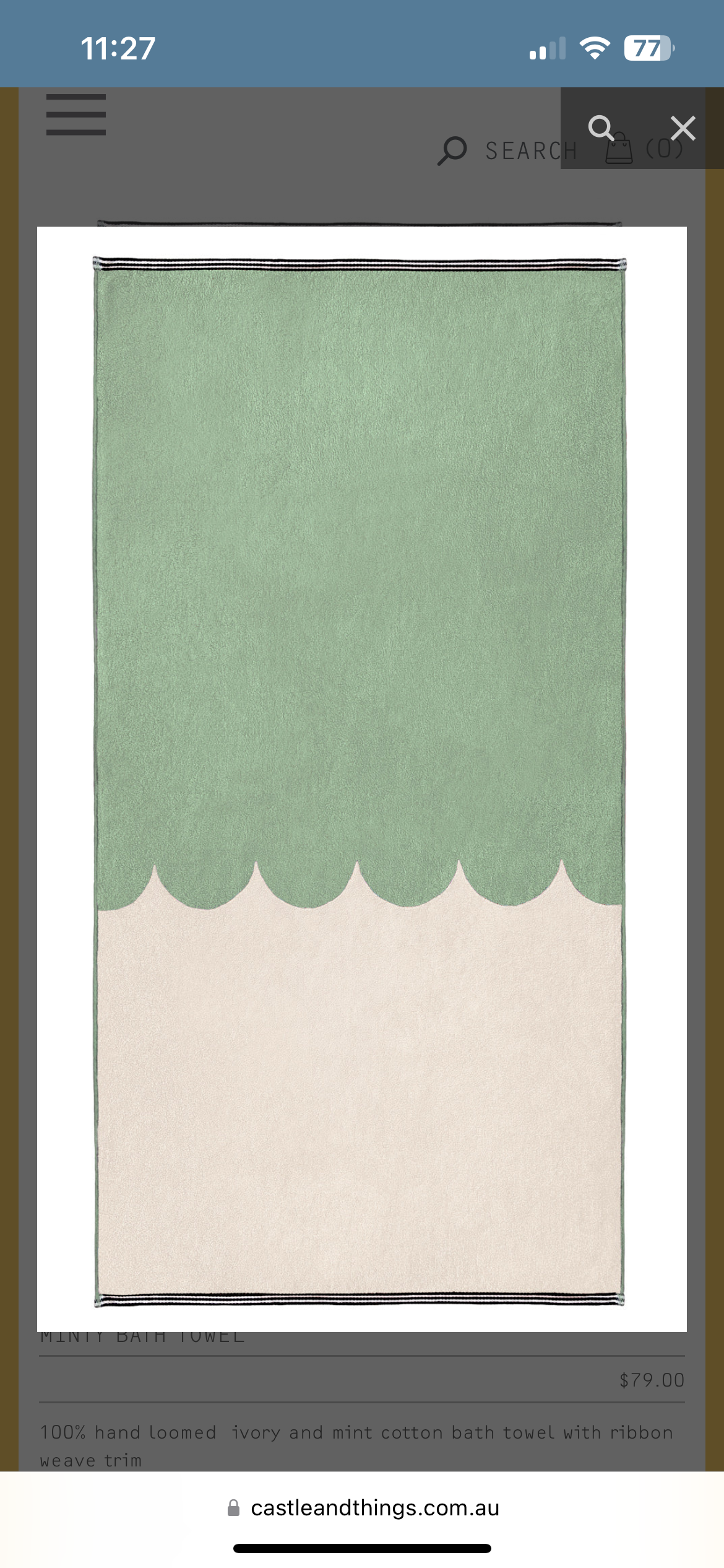 Minty Bath Towel